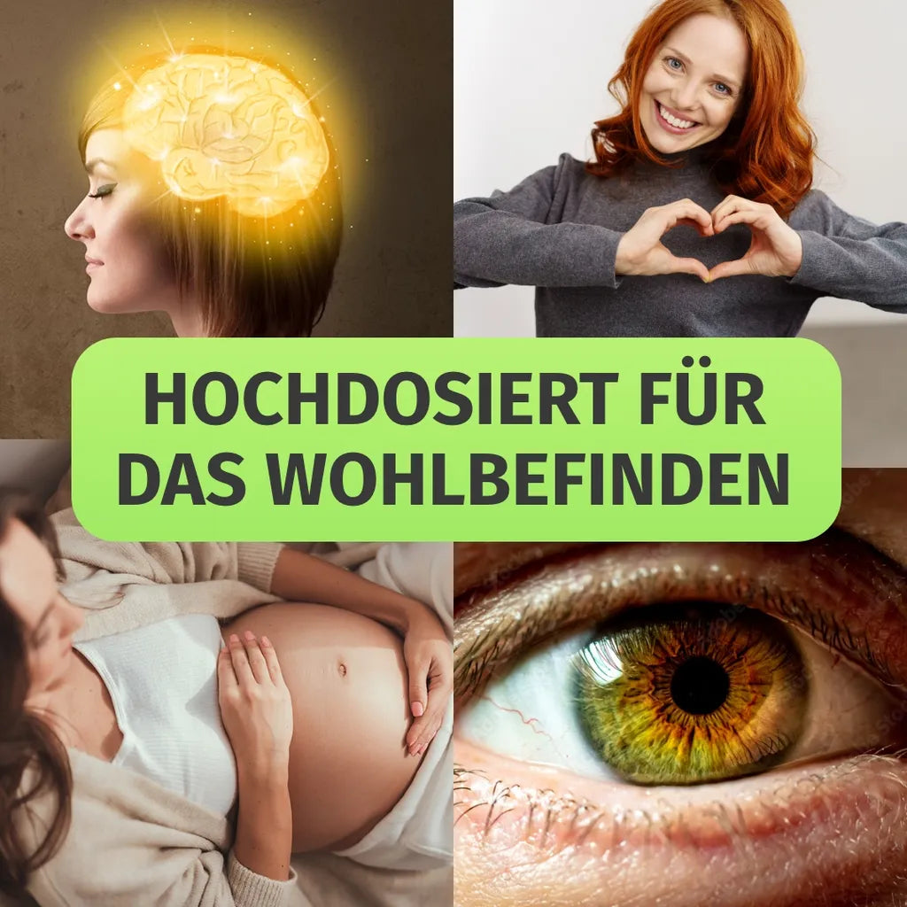 Omega 3 (vegan aus Algenöl)