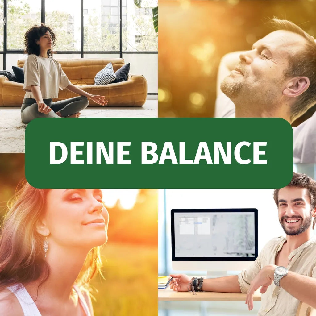 Reishi - 40% Polysaccharide