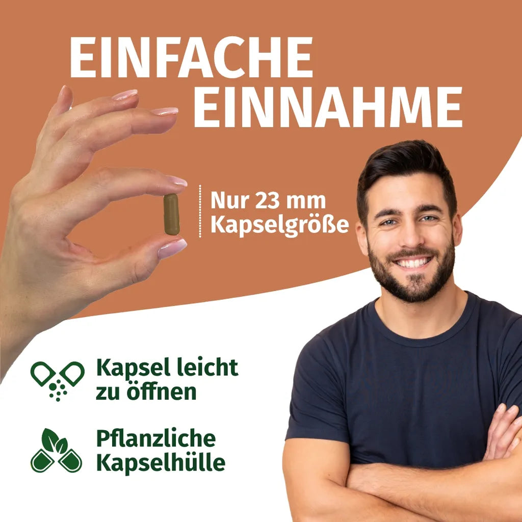 Reishi - 40% Polysaccharide