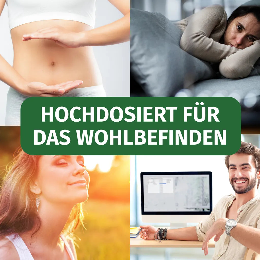 Reishi - 30% polisaccaridi