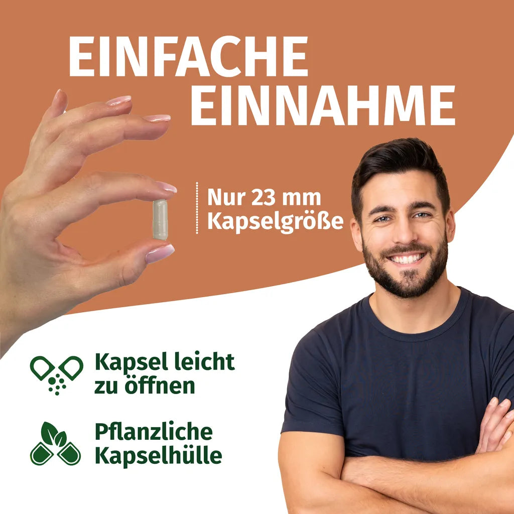 Reishi - 30% polisaccaridi