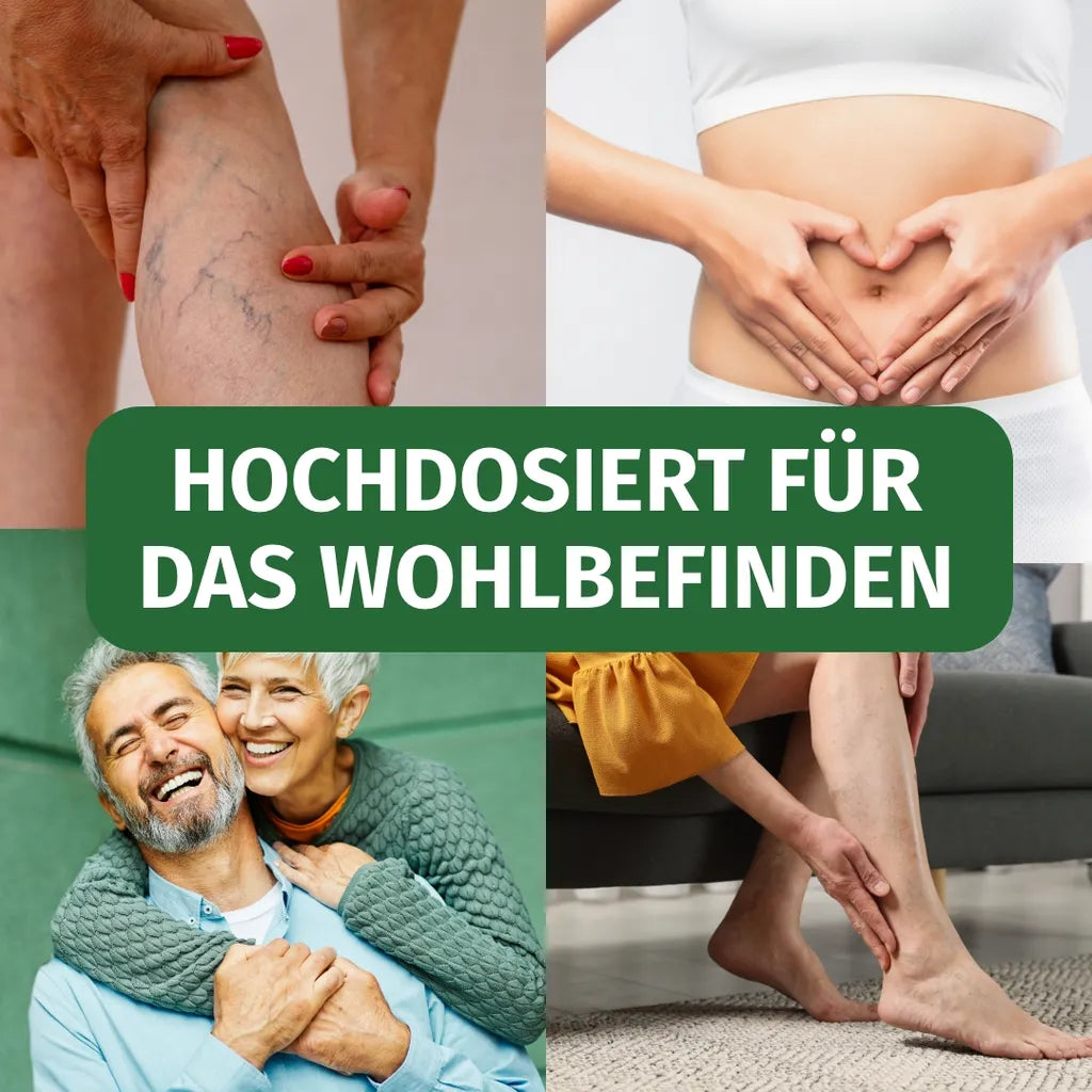 Rutin Kapseln (500 mg)