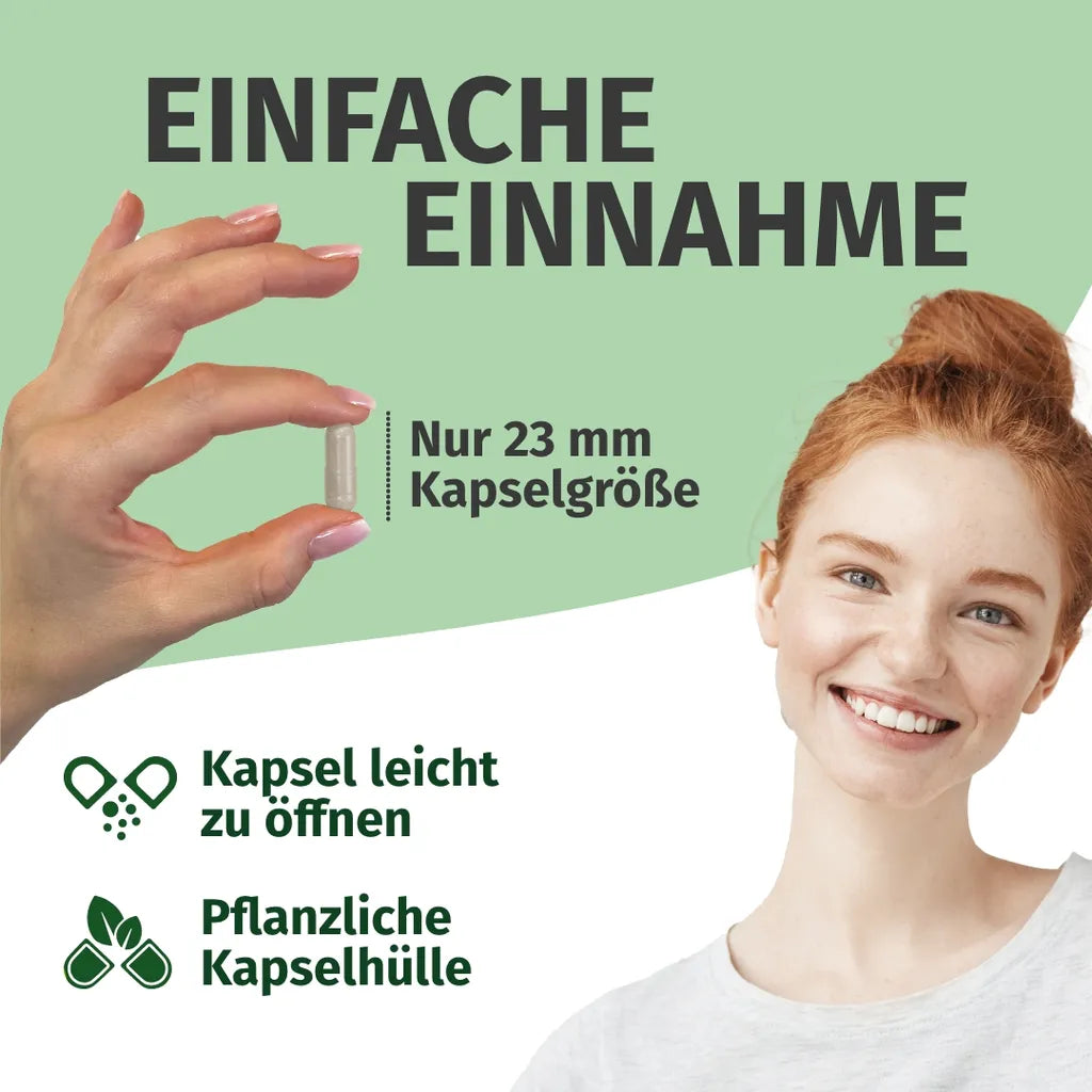 Rutin Kapseln (500 mg)