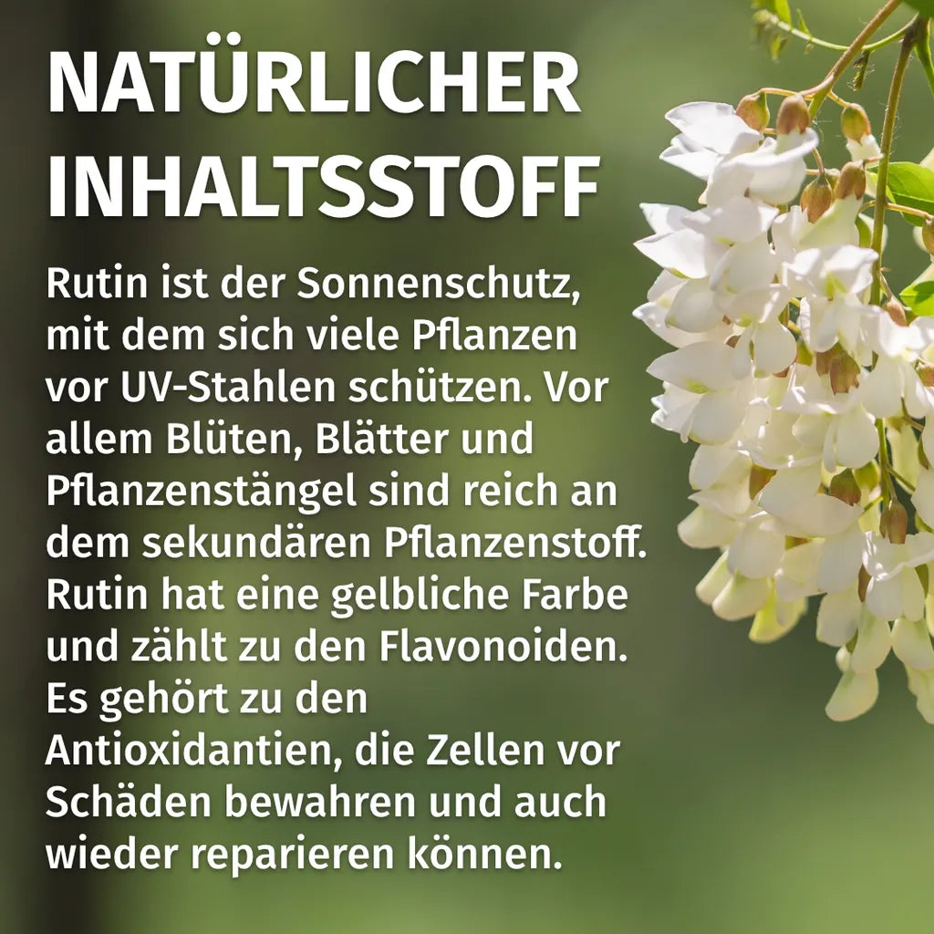 Rutin Kapseln (500 mg)
