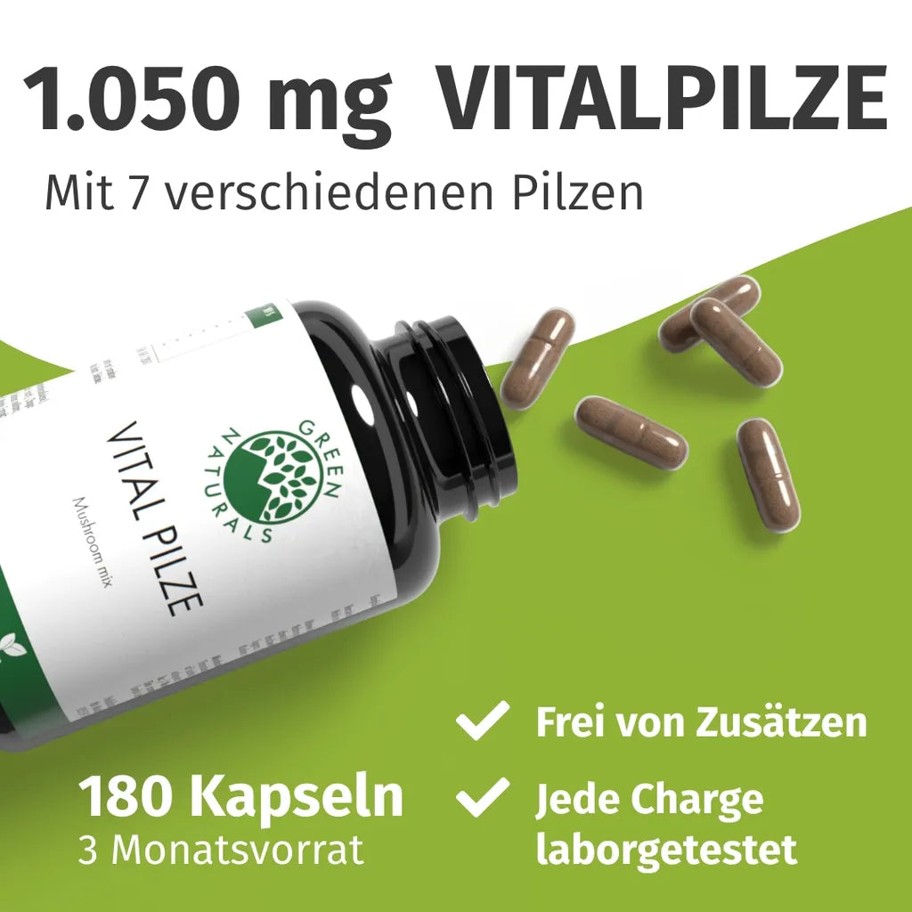 Vital Pilze