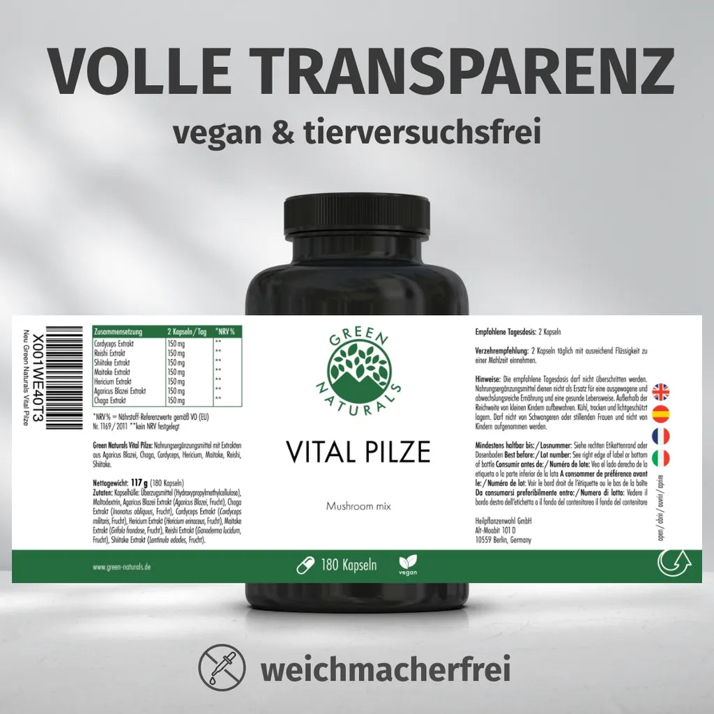 Vital Pilze