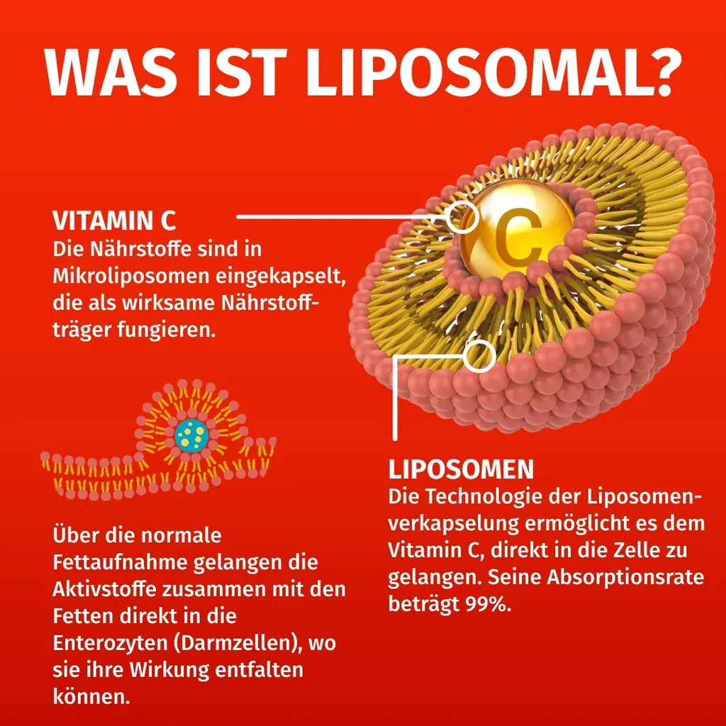 Liposomales Vitamin C