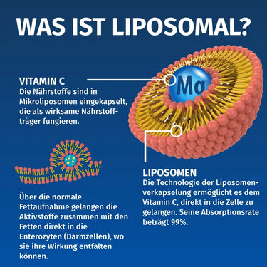 Liposomales Magnesium